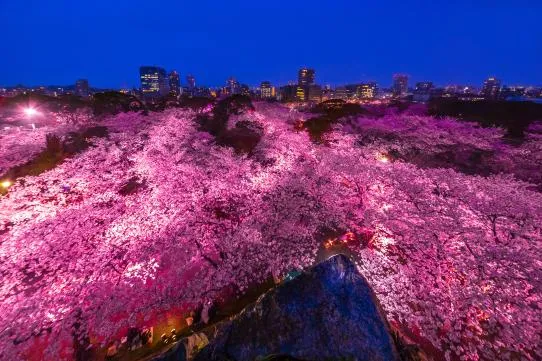 福岡県の旅行ガイドブックは楽天マガジンで読み放題