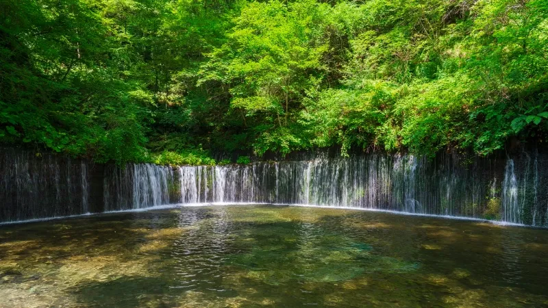 楽天マガジンは「るるぶ長野」や「まっぷる軽井沢」などの旅行ガイドブックを読むことができます