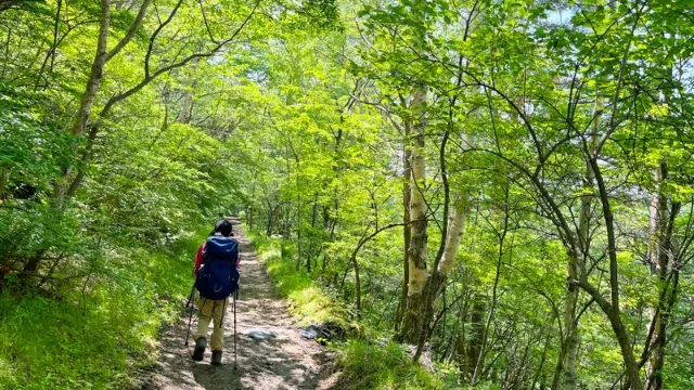 楽天マガジンは「PEAKS」や「ランドネ」などの登山雑誌を読むことができます