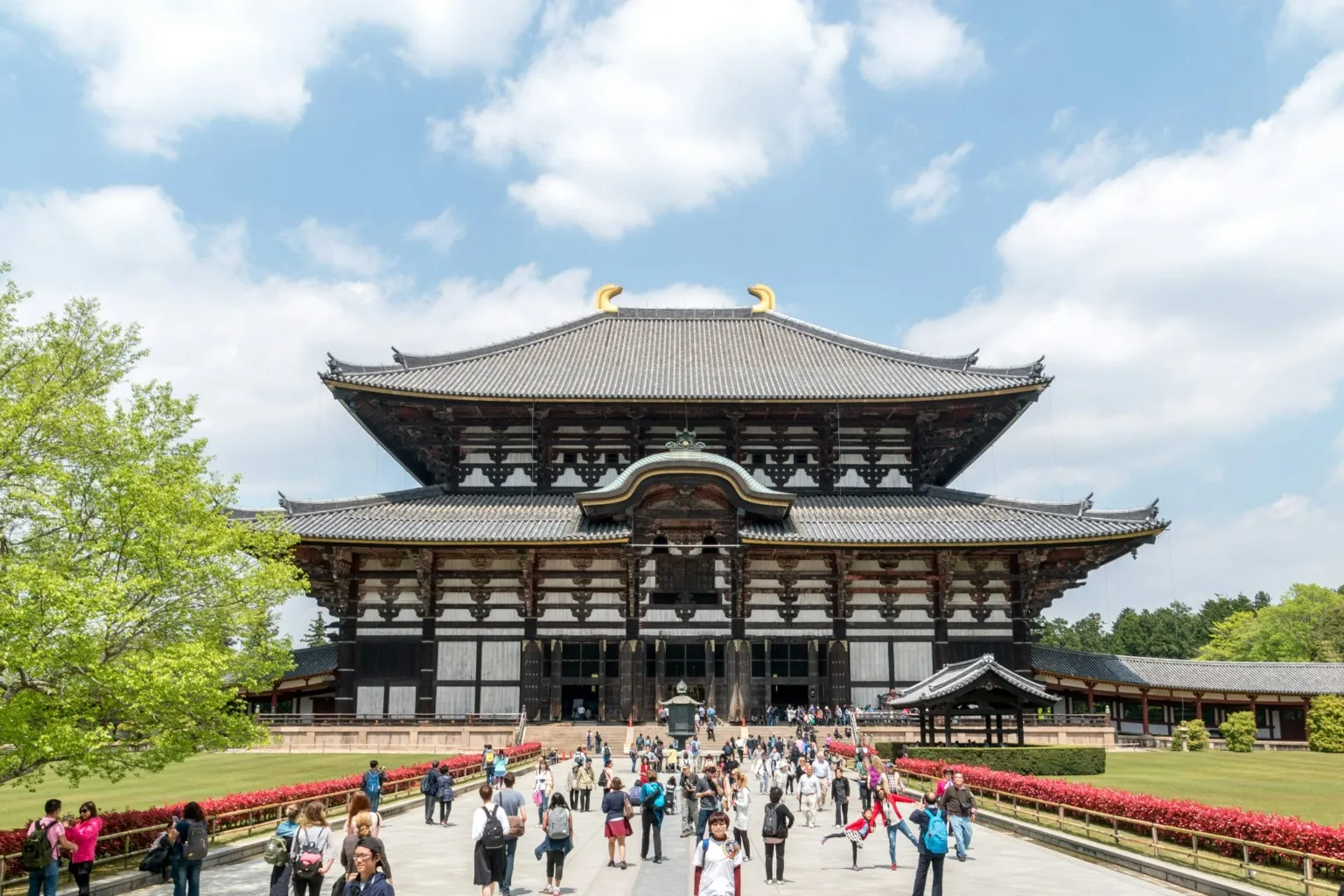 楽天マガジンは「るるぶ奈良」や「まっぷる奈良」などの旅行ガイドブックを読むことができます