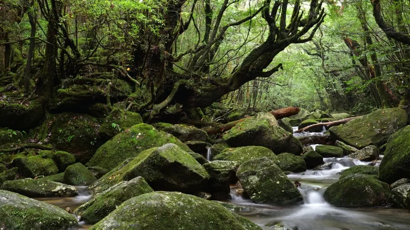 鹿児島県の旅行ガイドブックは楽天マガジンで読み放題